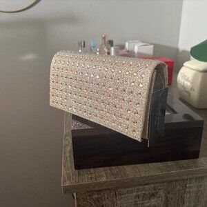 Fancy Clutch with Chain
